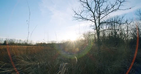 Camera Rises Over Brush In Open Field Stock Footage 122221601