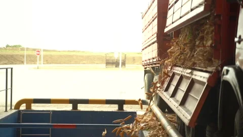 Camera rises up from warehouse with corn to the truck car HD Stock Footage 120388805