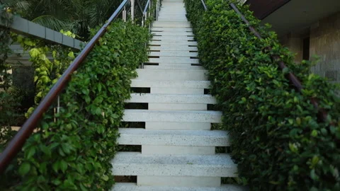 Camera rises up a white staircase with green plants on its sides. Stock Footage 131112762