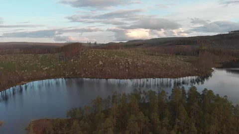 Camera rising above a tranquil forest lake. Stock Footage 318195248