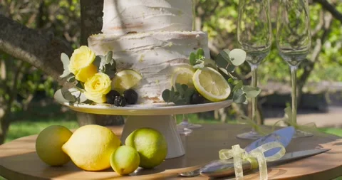 Camera rising, showing two-tier cake on table under tree with lemons, ribboned Stock Footage 339163057