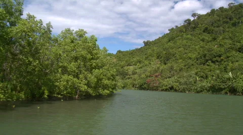 Camera on a river running through a beautiful flooded mangrove Video stock 606464