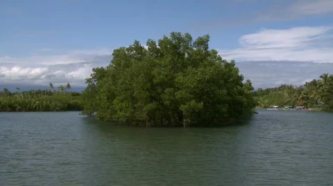 Camera on a river running through a beautiful flooded mangrove Video stock 606940