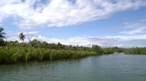 Camera on a river running through a beautiful flooded mangrove 스톡 동영상 608109