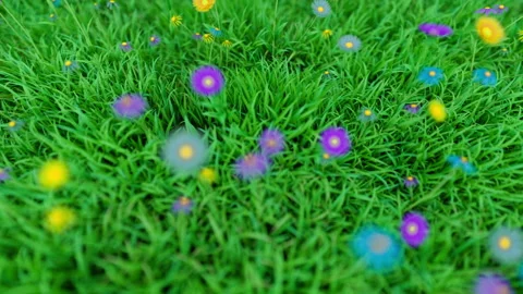 Camera rotate over a grassy clearing with colorful spring flowers Stock Footage 105466325