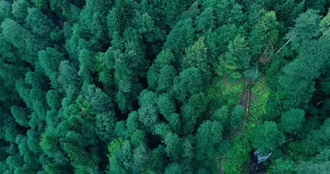 Camera rotates 360 degrees over waterfall in mountains covered with green Stock Footage 209127211