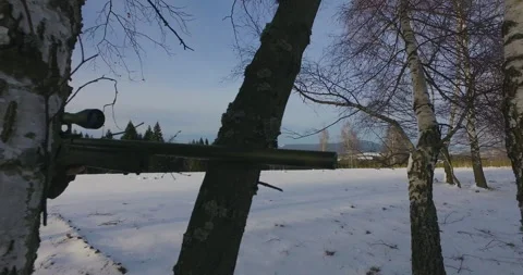 Camera rotates around a tree and rifle barrel of sniper Stock Footage 151703215