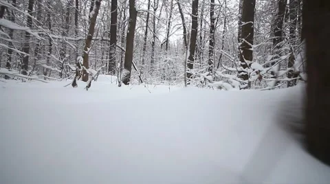 Camera run in the winter woods Stock Footage 1002233
