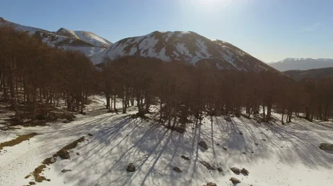 The camera runs along a forest with snow. Aerial drone video. N. Stock Footage 63421561