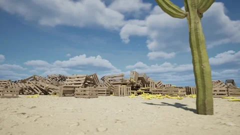 The camera sails in front of a cactus in front of a landfill in the background Stock Footage 271010536