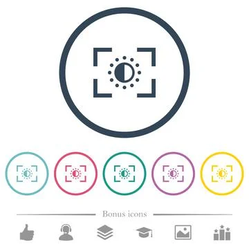 Camera saturation setting flat color icons in round outlines Stock Illustration