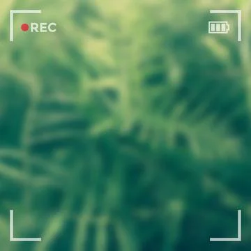 Camera screen interface vector illustration 스톡 일러스트