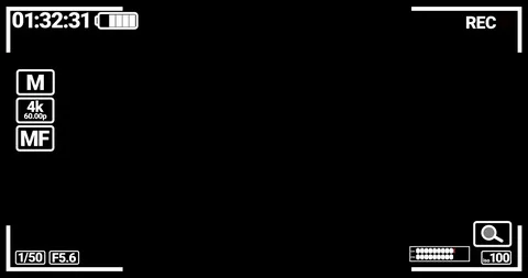 Camera screen, video camera viewfinder, recording interface Video stock 129629453