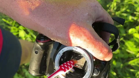 Camera sensor cleaning (CCD or Cmos). Cleaning photocamera Stock Footage 265909446