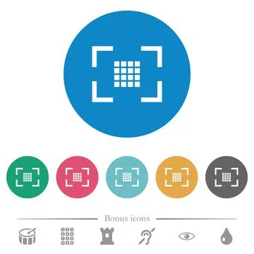 Camera sensor settings flat round icons Stock Illustration