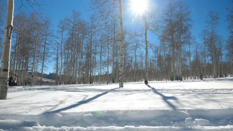Camera is set against the sun and it shoots a snowmobile driver in slow mo 스톡 동영상 110407741