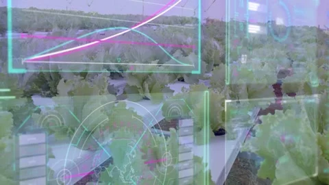 Camera shifting right and down, HUD overlaying hydroponic rows while charts Stock Footage 335739336