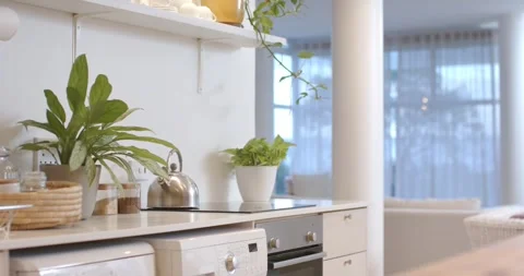 Camera is shifting right and upward, revealing kettle and plants on counter, Stock Footage 339495128