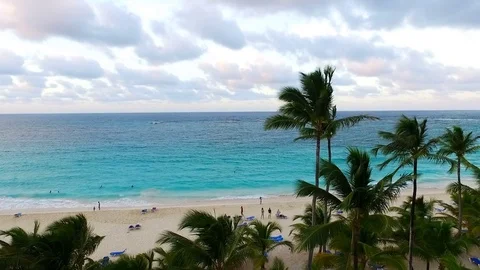 The camera shoots the beach and palm trees Stock Footage 71361955