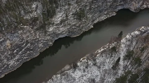 The camera shoots the river in the forest Video stock 148504823