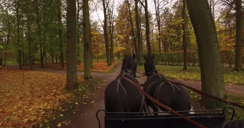 Camera shows the ride of the cart heading by two horses. Cart moving through bea Stock Footage 68916196