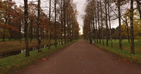 Camera shows the ride of the cart heading by two horses. Cart moving through bea Stock Footage 68916210
