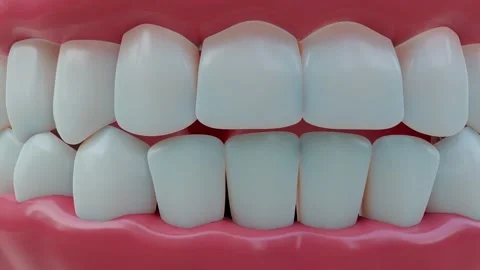 The camera shows a row of healthy white teeth. Close-up. Video stock 248029434