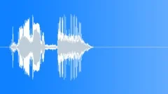 Camera Shutter Shot 3 Sound Effect