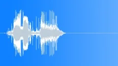 Camera Shutter Shots 2 Sound Effect
