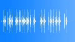 Camera Shutter Sound Effect