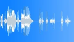 Camera Shutter Sound Effect