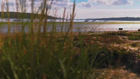 Camera side movement reveal of River Orwell Suffolk Marsh yachts &amp; boats 库存影片 141617323