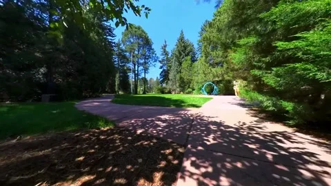 The camera skims the ground in botanic garden, enters clearing with blue archway Vídeo Stock 263995588