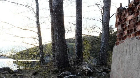 Camera slide over ruins on lake coast Stock Footage 129653563
