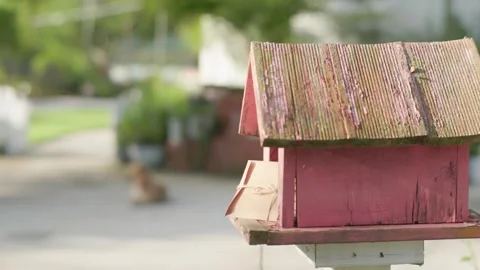 Camera Slide Revealing Vintage Envelope in Garden Mailbox Stock Footage 344623358