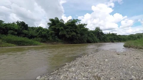 Camera slide, view from the bank of small river in Borneo, Malaysia Stock Footage 143600921