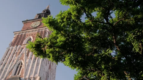 Camera slides behind tree from town hall tower Krakow Stock Footage 263810577
