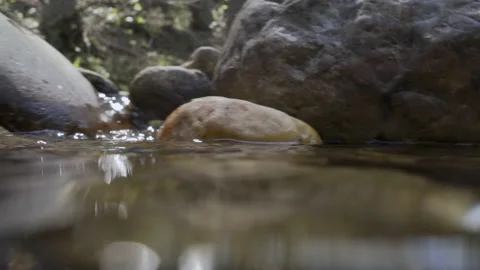 Camera slides down the river bank Stock Footage 143776497