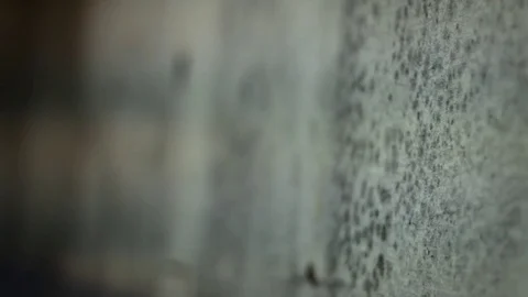 Camera slides by old green moldy basement wall Stock Footage 74273841