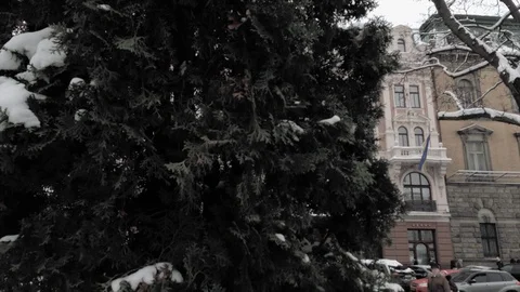 Camera slides from tree to reveal Grand Hotel in Lviv, Ukraine Video stock 101008605