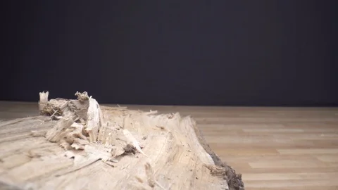 Camera sliding over big cut open wood block on table Stock Footage 124015590