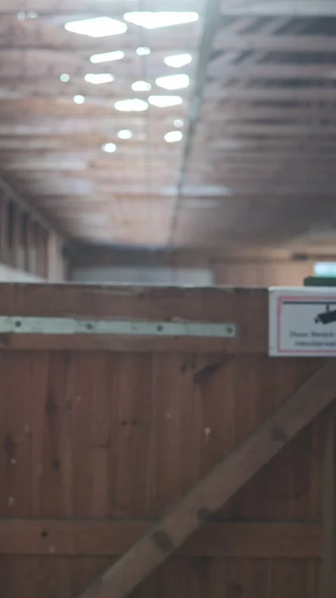 Camera sliding sideways revealing an old empty barn with wooden stables and a Video stock 332710397