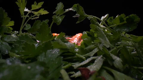 Camera sliding through lemons, parsley and ending with seafood Stock Footage 149316660