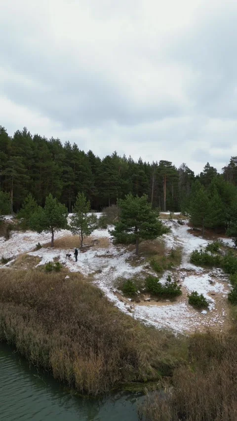 The camera slips away from a man and a dog who are walking along a forest lake Stock Footage 306289994
