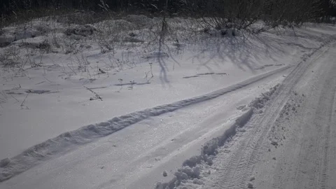 Camera slowly moves forward. Grass and stalks in forest, under snow. Stock Footage 91194352