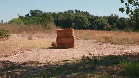 Camera slowly moves forward toward stacked hay bales set up in a rural field. Vidéo 347917908