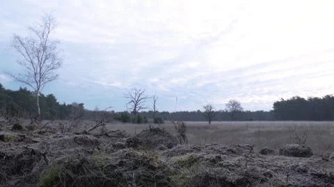 Camera slowly moving backwards revealing frozen landscape Video stock 293082100