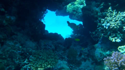 Camera slowly moving forwards approaching a tunnel Stock Footage 143848384