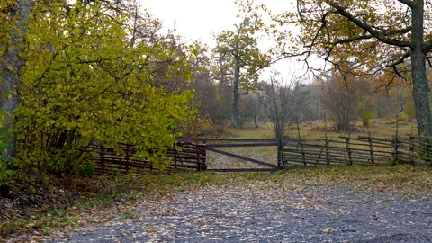 Camera slowly moving right showing path leading to forest Stock Footage 289048839