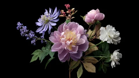 Camera slowly orbits a beautiful bouquet of flowers on a black background Stock Footage 315554896